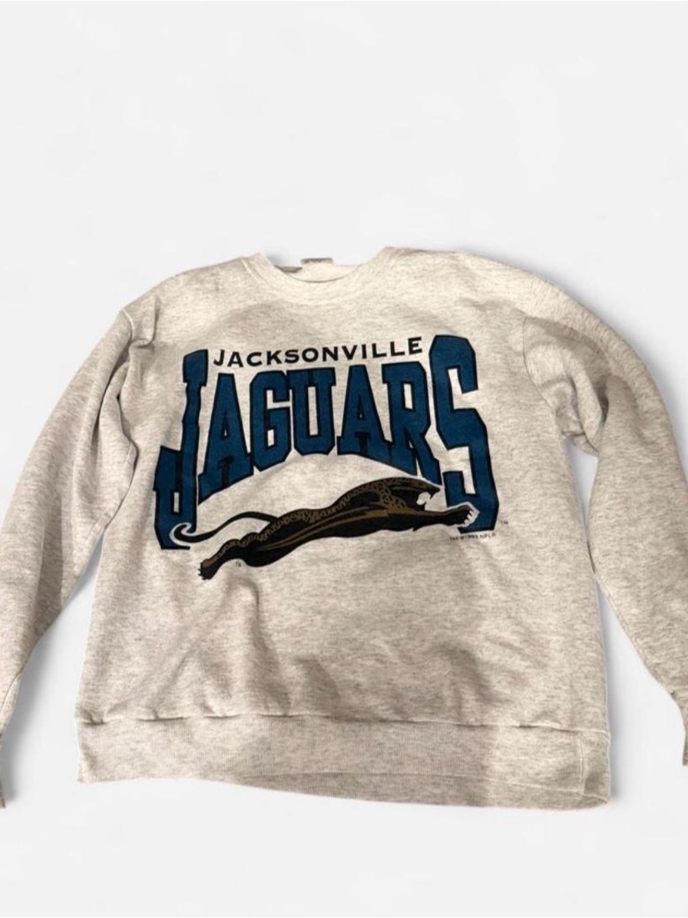Vintage Jacksonville Jaguars
Banned Logo Sweatshirt Pull Over